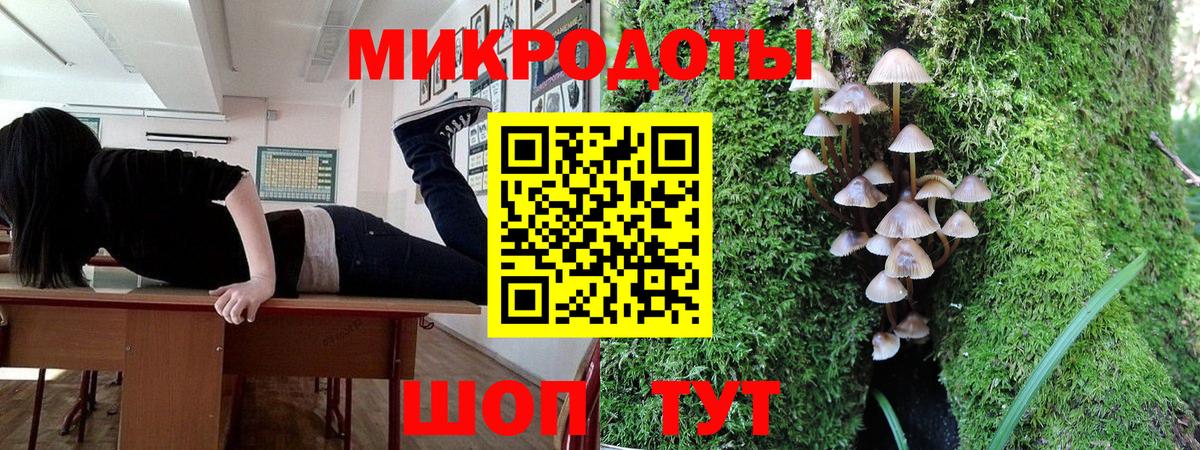 Партизанск  Псилоцибиновые грибы мухоморы  купить наркоту  Вход с VPN  Псилоцибиновые грибы Magic Shrooms 