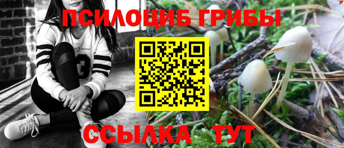 Галлюциногенные грибы MAGIC MUSHROOMS Партизанск
